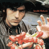 robyn hitchcock