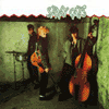 stray cats