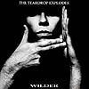 the teardrop explodes