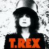 t. rex