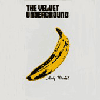 the velvet underground