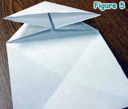 Figure 5