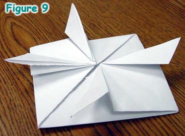 Figure 9