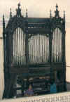Bacong.jpg (64405 bytes)