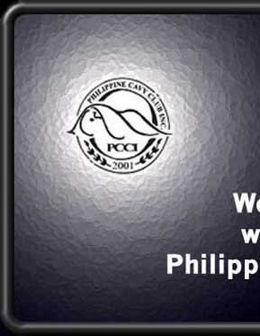 Click here to enter the website of the PCCI