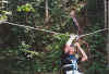 flyingfox2.jpg (53704 bytes)