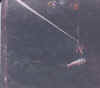 flyingfox400.jpg (275639 bytes)