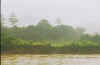 imanriverbank.jpg (30124 bytes)