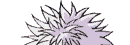 Killua
