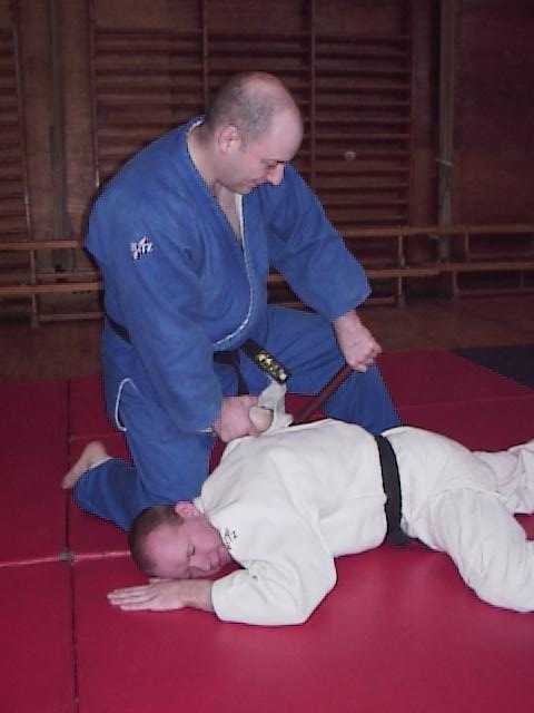 Sensei Oxley, demonstrating Tan Bo
