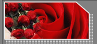 SEND A LOVELY BOUQUET OF ROSES