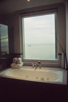 Toilet & Bath
