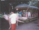 cart carabao.