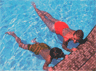 Metro Gate Swimming Pool
