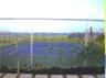 Metro Gate Tennis Court