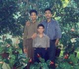 Philip Tiju's Brothers