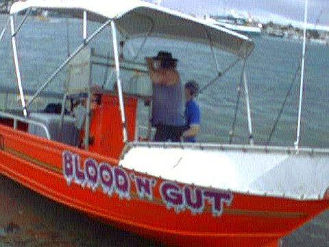 Blood N' Gut