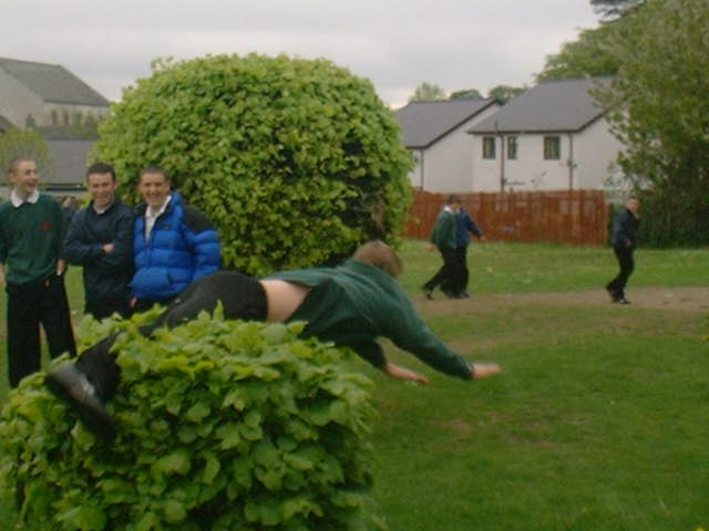 Phillip's dive over a bush!