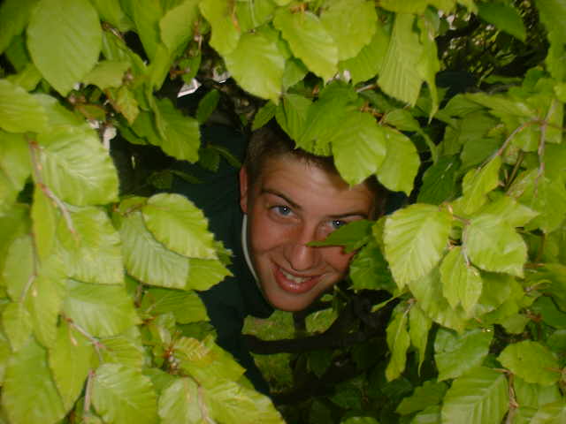 Phil wrestling with the bush