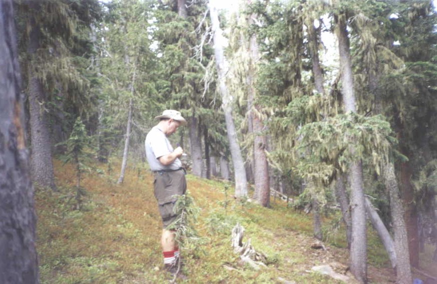 E_11.jpg