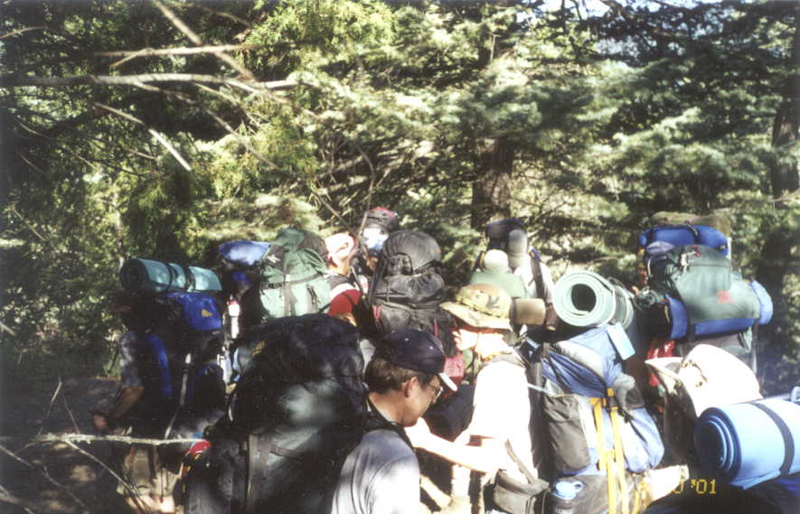 G_01.JPG