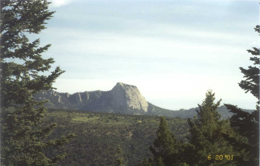 G_02.JPG