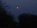 moon (Small).jpg