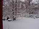 front yard and cat houses in snow
