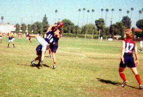 nat2000darrinmark.jpg