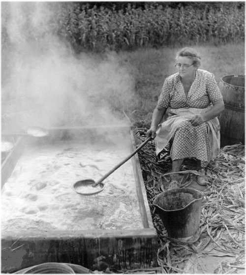 Wilhemina Gildersleeves Mapleberry...doing what she loved the most...stirring fresh wort starter.