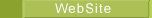 WebSite port