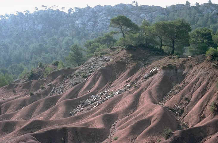 Niveaux � Dinosaures , gisement class� des Grands-Creux , for�t d�partementale de Roques-Hautes , commune de Beaurecueil , r�gion d'Aix-en-Provence , Bouches-du-Rh�ne , France , Photographie : Ph.Kerourio , reproduction interdite .