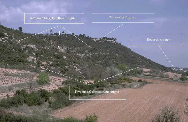 Colline des Chapeliers.gif (224627 octets)