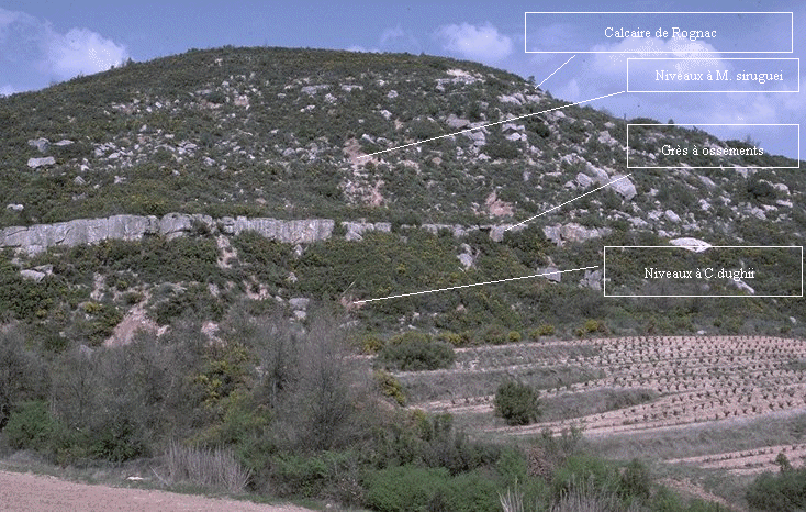 Colline des Chapeliers 2.gif (271055 octets)