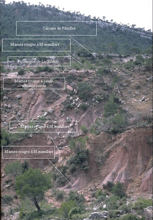 Le Cengle coupe KT.gif (300628 octets)