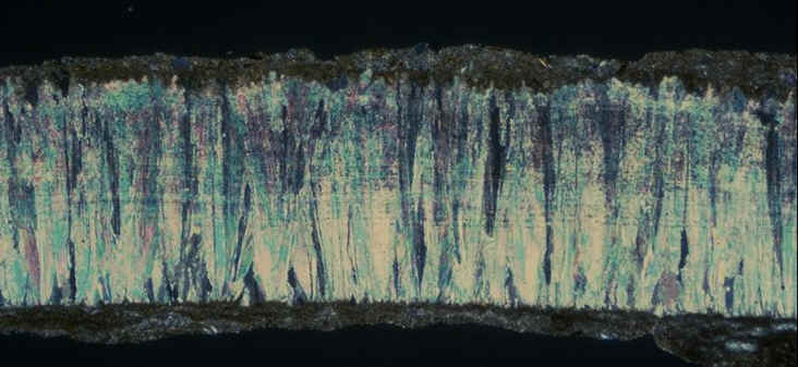 Subtilioolithus 4.jpg (68210 octets)