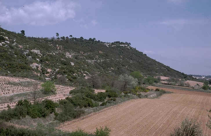 Colline des Chapeliers Rousset.jpg (76112 octets)