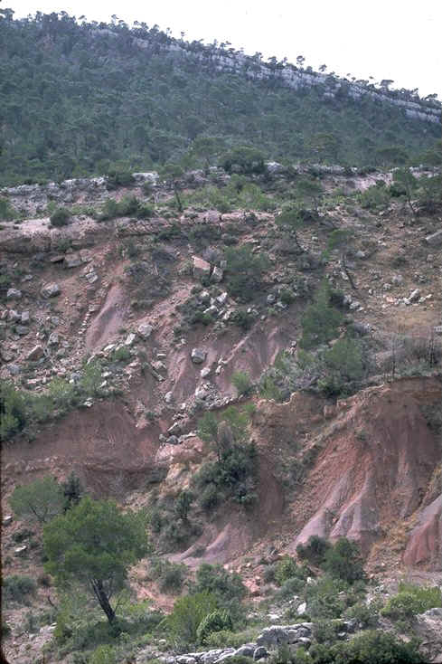 Environs de l'auberge de Saint Ser , commune de Puyloubier , Bouches-du-Rh�ne , transition Cr�tac� Tertiaire , auteur : Ph.Kerourioi , reproduction interdite.jpg (112173 octets)