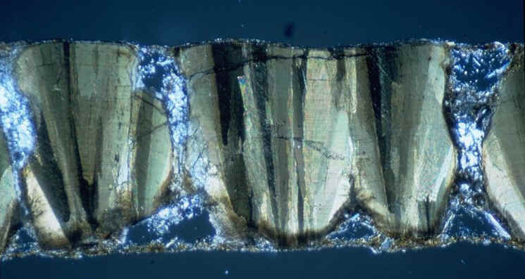 Coupe radiale oeuf de Dinosaure avec canaux a�rif�res llumi�re polaris�e , Ch�teauneuf-le-Rouge , Rognacien sup�rieur , Maastrichtien sup�rieur , auteur :Ph.Kerourio , reproduction interdite .jpg (78616 octets)