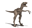 Deinonychus anim�.gif (14172 octets)
