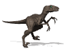 Deinonychus anim� 2.gif (8322 octets)