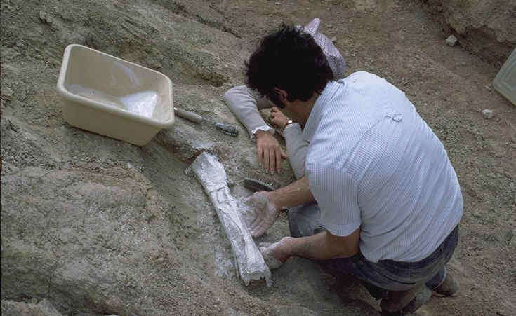 Extraction ossement Dinosaure Castigno phase 4.jpg (103907 octets)