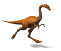 Gallimimus.gif (33983 octets)
