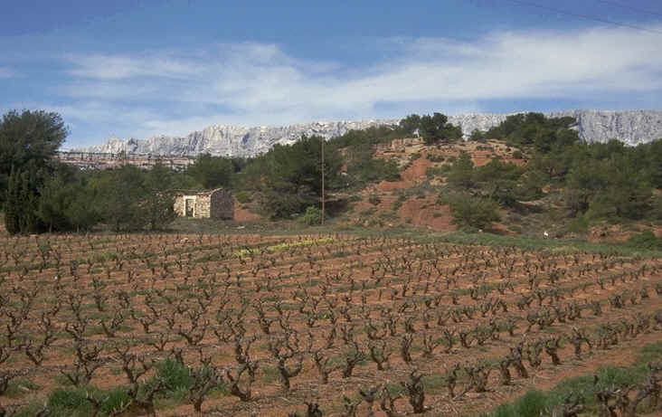 Gisement Frigara vue au sol 1.jpg (96433 octets)