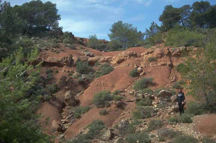 Gisement Frigara vue au sol detail , Maastrichtien sup�rieur des environs de Rousset-sur-Arc , Bouches-du-Rh�ne , auteur : Ph.Kerourio , reproduction interdite .jpg (105548 octets)