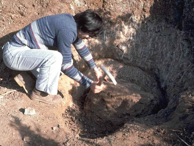 JM extrayant un oeuf dinosaure.jpg (115458 octets)