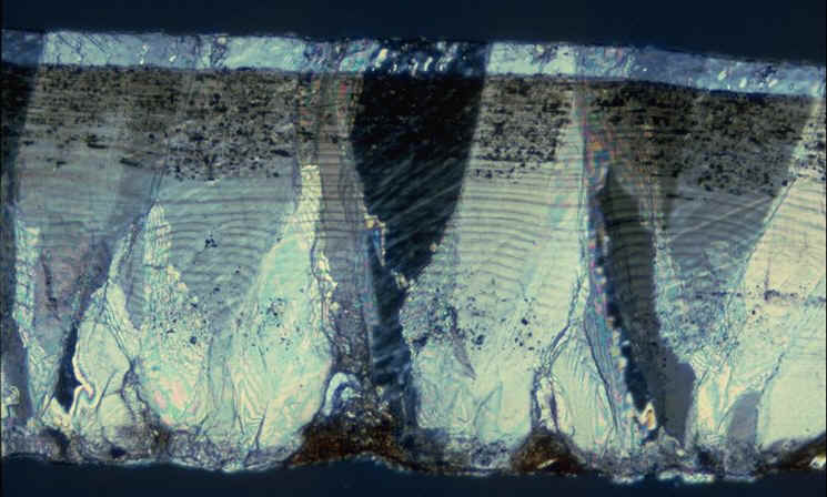 Oeuf crocodile lum pol 03.jpg (88972 octets)