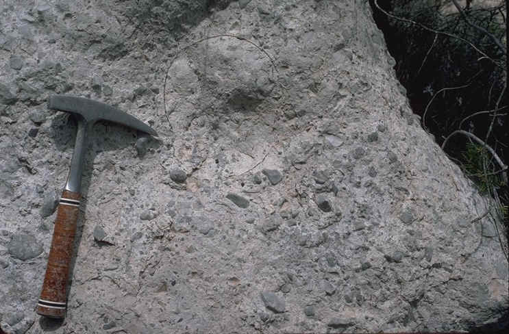 Oeuf dinosaure en coupe , gisement de Doudon , commune du Tholonet , Bouches-du-Rh�ne , auteur : Ph.Kerourio, reproduction interdite.jpg (126337 octets)