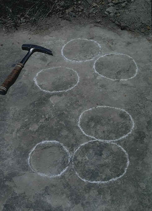 Oeufs dinosaures in situ gisement de Saint-Ser , commune de Puyloubier, Bouches-du-Rh�ne , auteur : Kerourio , reproduction interdite.jpg (89953 octets)