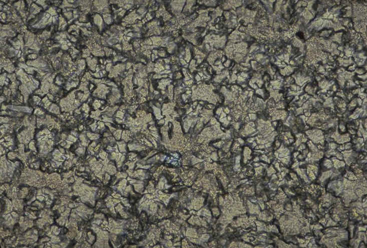 Prismatoolithus section tangentielle lumnatbis.jpg (125856 octets)